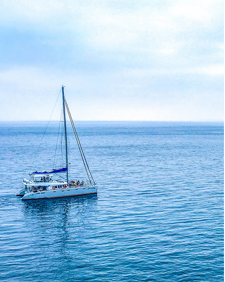 危險(xiǎn)廢物污染防治責(zé)任信息公開